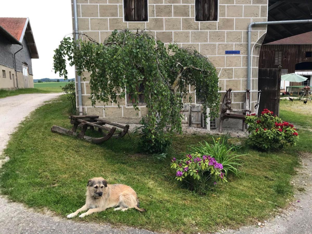 Pferdehof-Dietzsch Tittmoning Buitenkant foto
