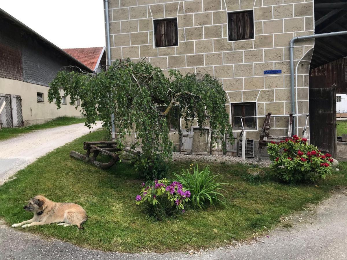 Pferdehof-Dietzsch Tittmoning Buitenkant foto
